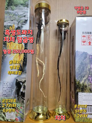 김봉호님의 작성글 사진