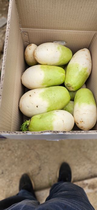 김화석님의 작성글 사진