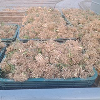 이은화님의 자유주제 · 자유게시판 작성글 사진