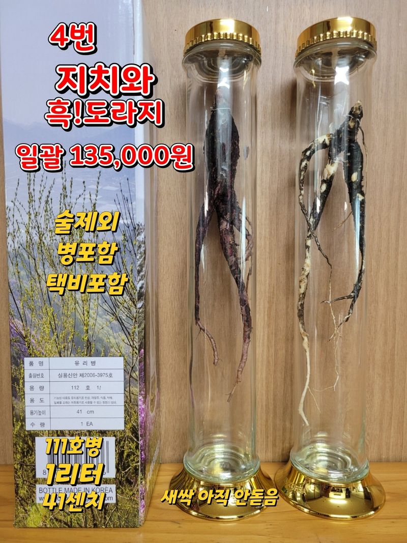 김봉호님의 장터 판매 상품 [흑생도라지/지치 담금병] 첨부 사진