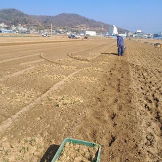 이은화님의 자유주제 · 자유게시판 작성글 사진