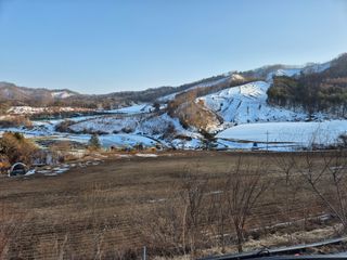 이금범님의 감자심기 하셨나요? · 참여글 작성글 사진