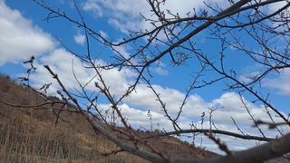 MSG0074님의 자유주제 · 자유게시판 작성글 사진