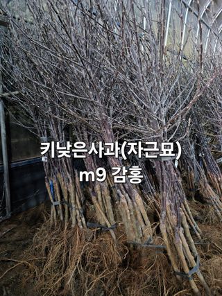 우리농원님의 자유주제 · 자유게시판 작성글 사진