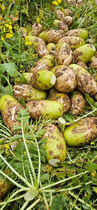 김화석님의 작성글 사진