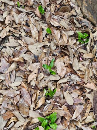 류만수님의 자유주제 · 자유게시판 작성글 사진