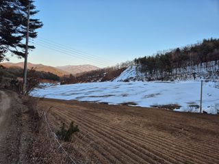 이금범님의 감자심기 하셨나요? · 참여글 작성글 사진