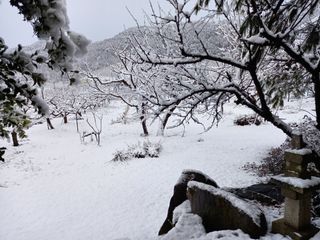 김상진님의 자유주제 · 자유게시판 작성글 사진