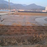 팜모닝 자유주제·자유게시판 게시글 이미지