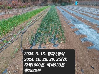 박성민님의 자유주제 · 자유게시판 작성글 사진