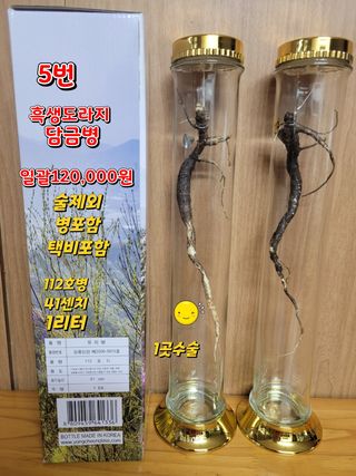 김봉호님의 작성글 사진