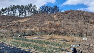 MSG0074님의 자유주제 · 자유게시판 작성글 사진