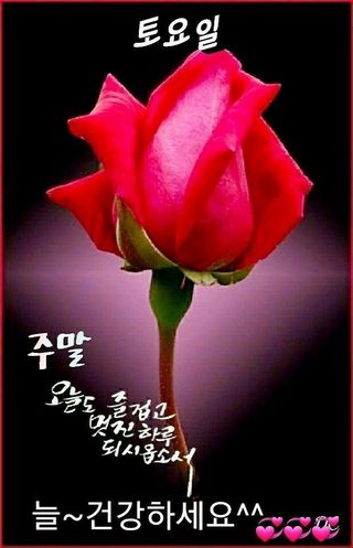 MSG0074님의 자유주제 · 자유게시판 작성글 사진