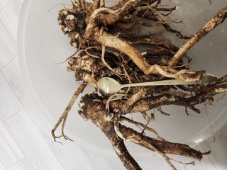 밀양달콤팜님의 자유주제 · 자유게시판 작성글 사진