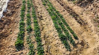 조운님의 자유주제 · 자유게시판 작성글 사진