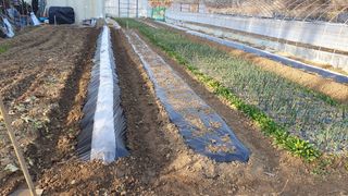 이서구님의 자유주제 · 자유게시판 작성글 사진