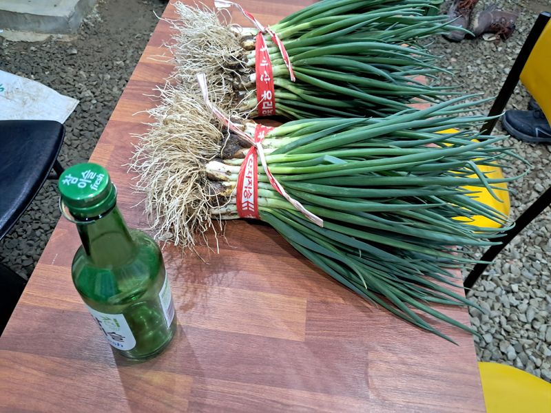 임재혁 님의 장터 판매 상품 [쪽파1단1kg] 첨부 사진