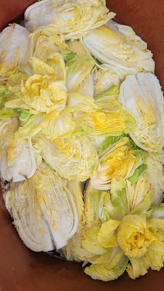 경기고양휘파람농장님의 자유주제 · 자유게시판 작성글 사진