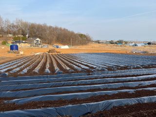 오승현님의 자유주제 · 자유게시판 작성글 사진