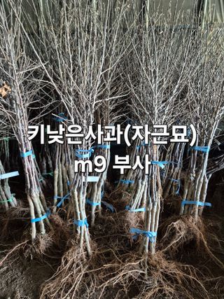 우리농원님의 자유주제 · 자유게시판 작성글 사진