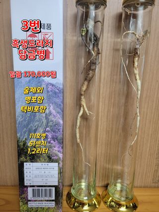 김봉호님의 작성글 사진