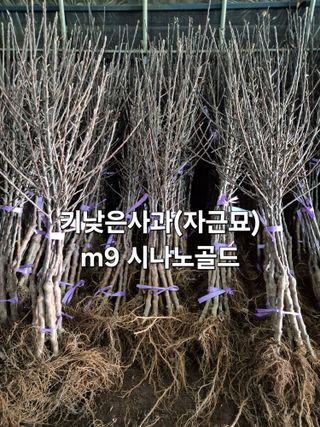 우리농원님의 자유주제 · 자유게시판 작성글 사진