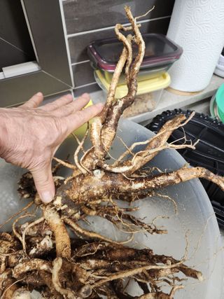 밀양달콤팜님의 자유주제 · 자유게시판 작성글 사진