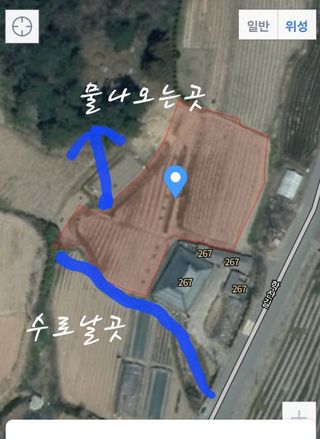 고추24376님의 농사, 무엇이든 물어보세요! · 참여글 작성글 사진