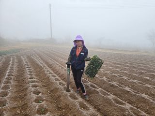 박수열님의 자유주제 · 자유게시판 작성글 사진