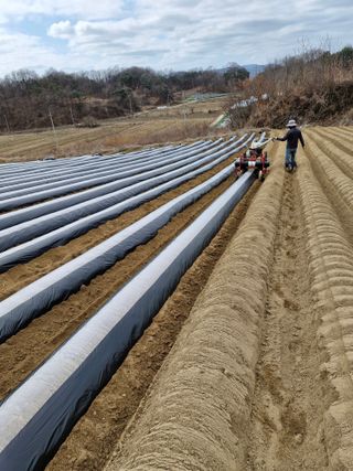 !정의규님의 자유주제 · 자유게시판 작성글 사진