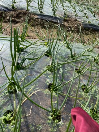 오디님의 자유주제 · 자유게시판 작성글 사진