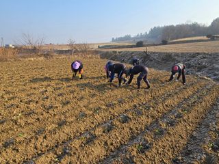 박수열님의 자유주제 · 자유게시판 작성글 사진