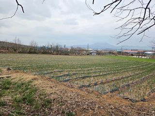이원우님의 자유주제 · 자유게시판 작성글 사진