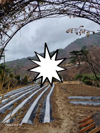 ♡5도2촌pys♡님의 자유주제 · 자유게시판 작성글 사진