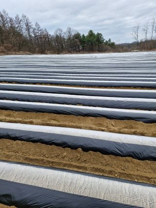 !정의규님의 자유주제 · 자유게시판 작성글 사진