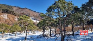 약초꾼님의 자유주제 · 자유게시판 작성글 사진
