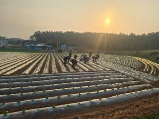 박수열님의 자유주제 · 자유게시판 작성글 사진