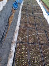 팜모닝 농사, 무엇이든 물어보세요!·참여글 게시글 이미지