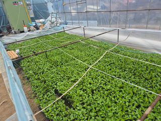 박무순님의 자유주제 · 자유게시판 작성글 사진