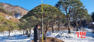 약초꾼님의 자유주제 · 자유게시판 작성글 사진