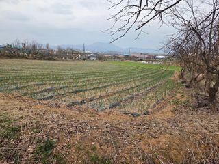 이원우님의 자유주제 · 자유게시판 작성글 사진