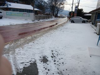 알 수 없음님의 자유주제 · 자유게시판 작성글 사진