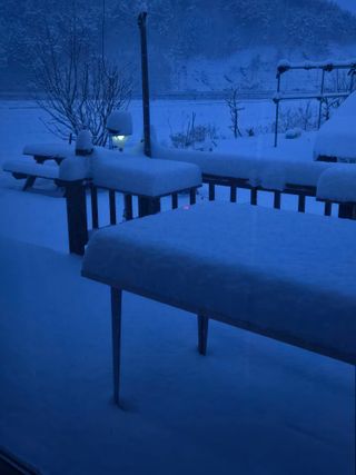 팜모닝회원 바이크농원님의 자유주제 · 자유게시판 작성글 사진