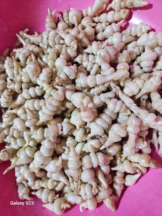 손윤영/수채화농원님의 작성글 사진