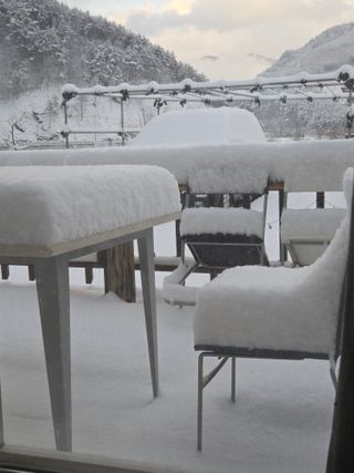 팜모닝회원 바이크농원님의 자유주제 · 자유게시판 작성글 사진