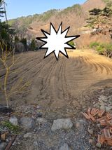 팜모닝 자유주제·자유게시판 게시글 이미지