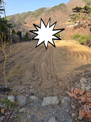 ♡5도2촌pys♡님의 자유주제 · 자유게시판 작성글 사진