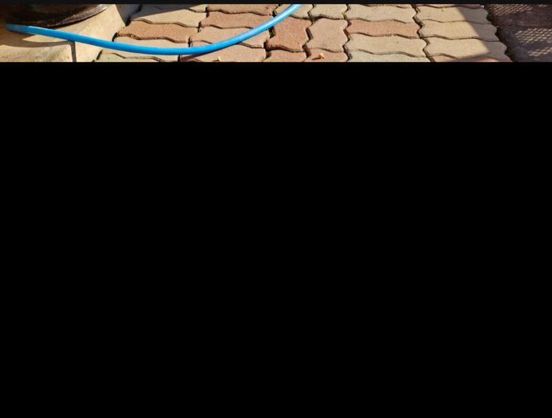 손윤영/수채화농원님의 장터 판매 상품 [초석잠] 첨부 사진