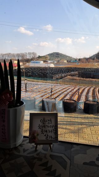 bpjh9173님의 감자심기 하셨나요? · 참여글 작성글 사진