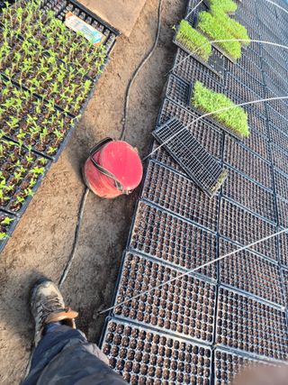 병풍취산채농원님의 자유주제 · 자유게시판 작성글 사진